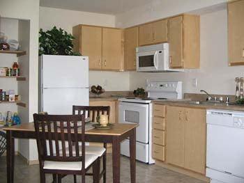 1Bedroom Kitchen