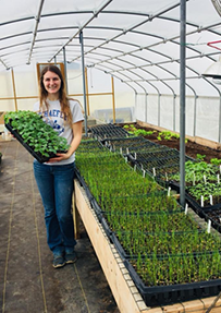 Schaefer's Farm Market & CSA