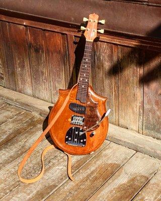 Electric solid body mandolin