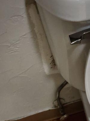 There's a spot of black mold behind the toilet