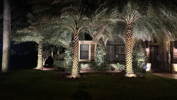 Landscape Lighting