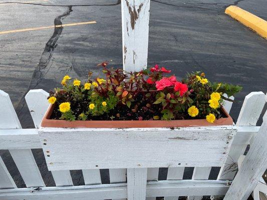 Cute flower box!