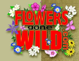 Flowers Gone Wild