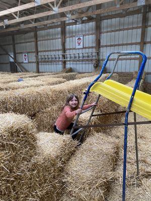 Straw maze