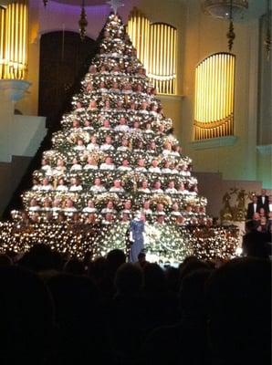 Living Christmas Tree