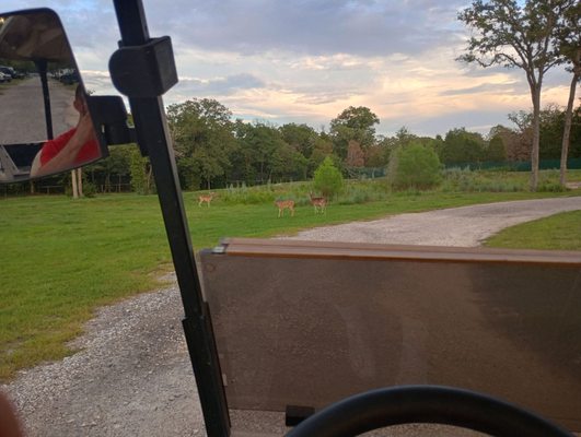 one Evening cruising by the pond, going back to my RV..