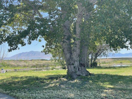 Utah Lake State Park