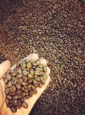 Freshly roasted coffee beans