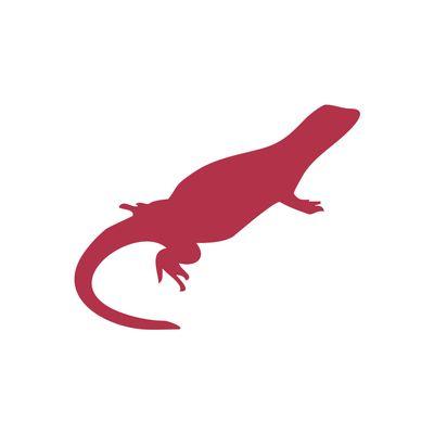 Chuckwalla Design