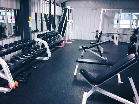 Free weights up to 125lbs!