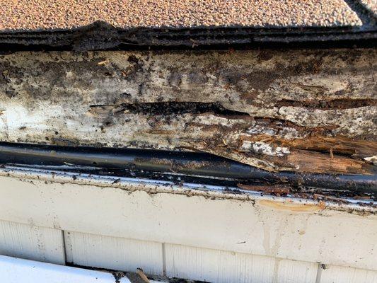 Rotted fascia board 1x6