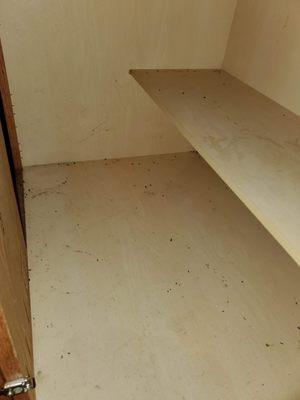 Dirty cabinets with rat/mice poop