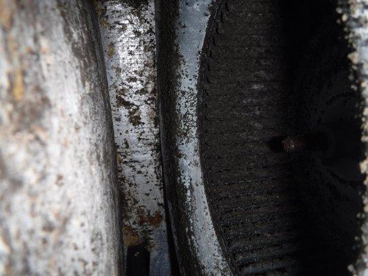 The A/C blower fins are very dirty and need cleaning