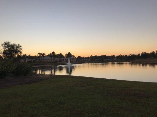 Lake Osprey