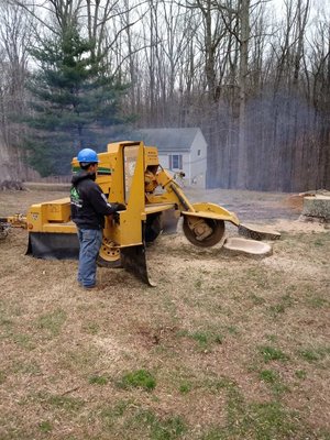 Stump Grinding