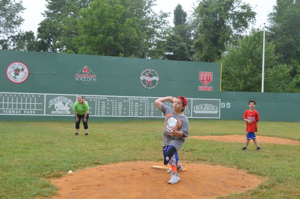 Our wiffle ball stadium, which we call Little Fenway Park