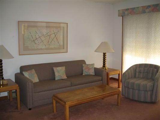 The living room has plenty of seating and a pull-out queen sized sofa bed.  "Logs" provided can be burned in the fireplace.