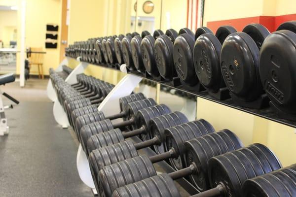 Free Weights in our Weight Room