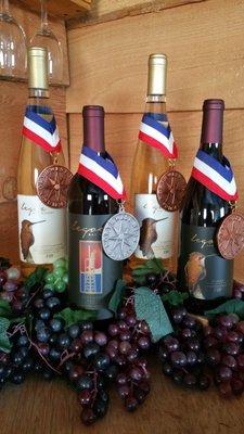 Taste our award-winning wines!