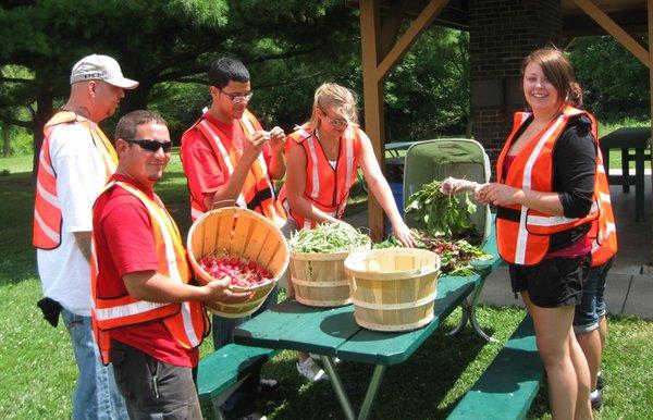 Sorting Veggies from the Community Service Gardens. All produce grown goes to local food banks for distribution to the needy.