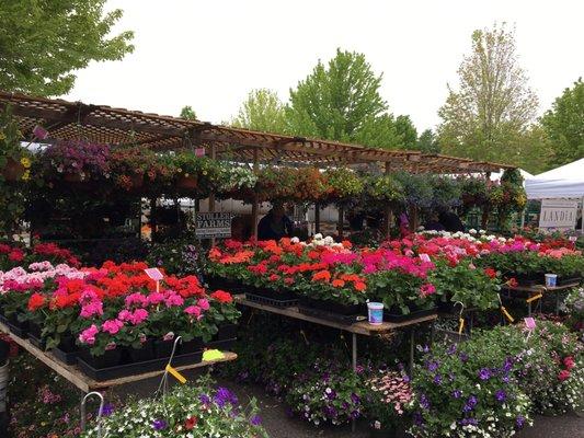 Beaverton Farmers Market