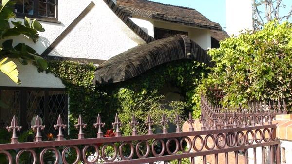 House with extensive shrubbery and vines is a target for rodent access.  Remove greenery from the point to help stop entry.