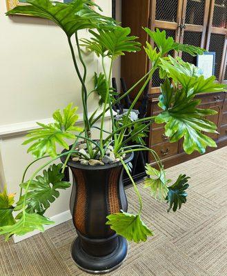 Indoor plant design and maintenance services available in Tyler and surrounding areas. Call (903) 392-6655 for a free estimate.