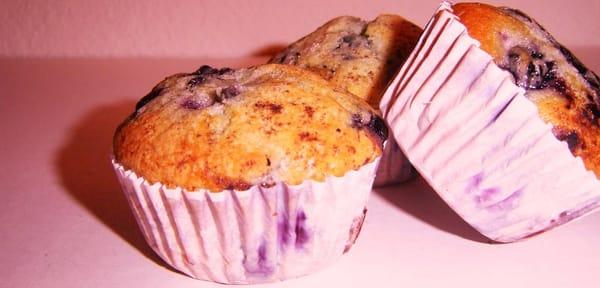 Muffins Muffins Muffins