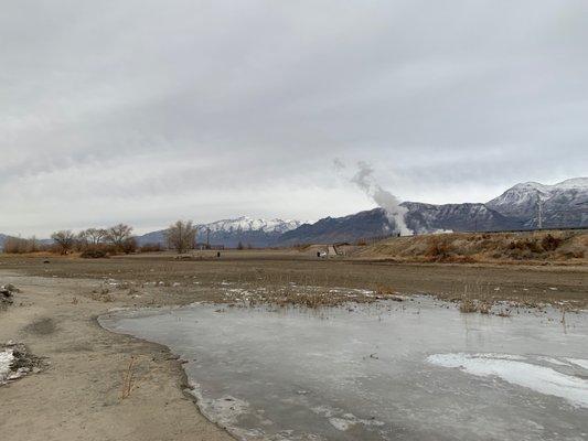 Winter beach view