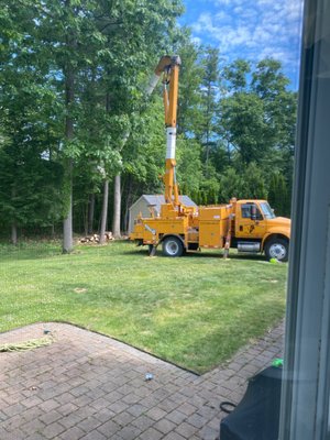 ProClimb Tree Service