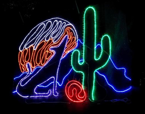 nice southwestern themed light display