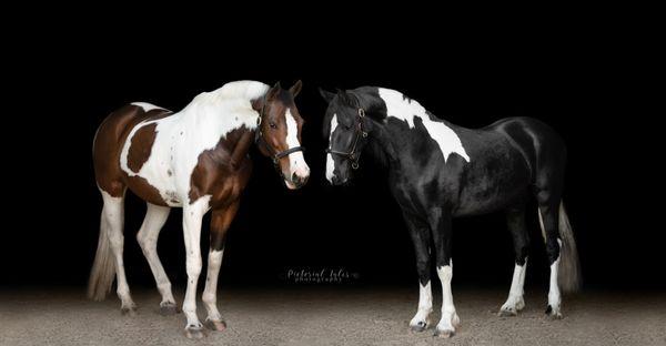 Black Background Session