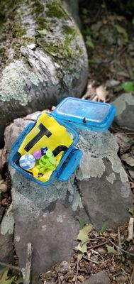 Geocache.