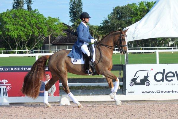 Todd Bryan, trainer and FEI competitor since 1987.