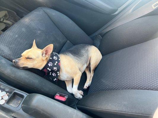 All ready for his nap time after his bath time. Lol