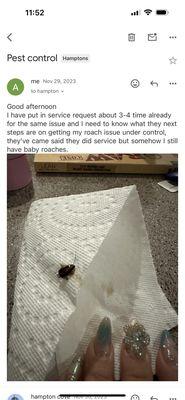 Email about pest control