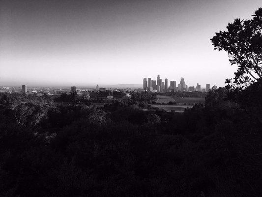 B& w view from behind the ball field