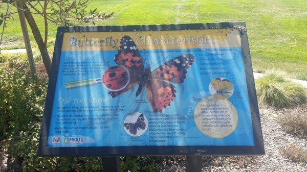 Butterfly Garden