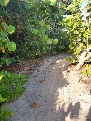 Beach path