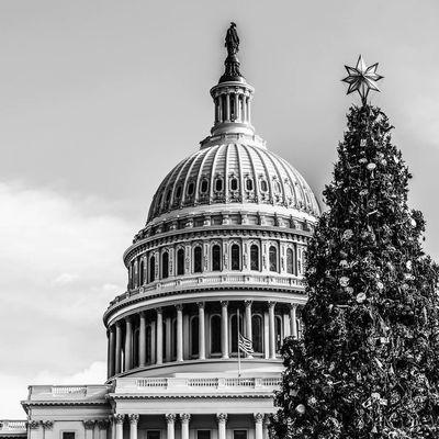 2017 U.S. Capitol Christmas Tree and Star.