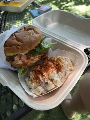 Volcano sandwich and potato salad