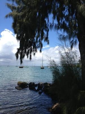 Many paddle boarders and boats out today.