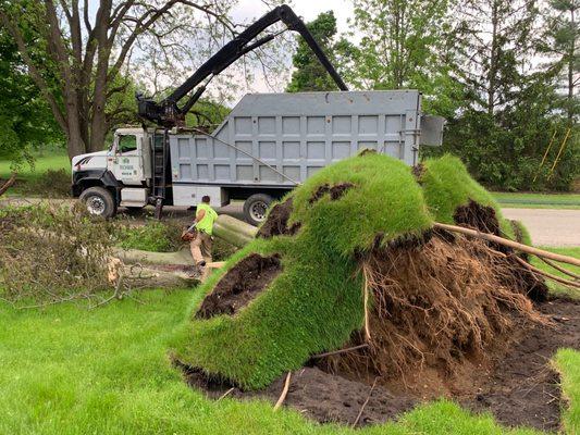 Emergency service and storm clean up.