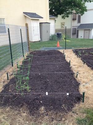 Community Garden