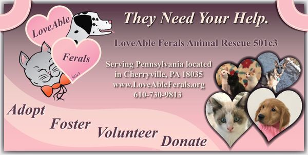 LovAble Ferals Adopt-Foster-Volunteer-Donate