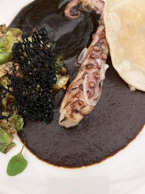 Octopus with sweet mole