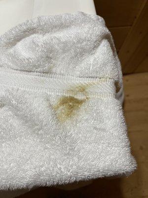 This is a picture of the Dirty towel I almost dried off with that was in the basement bathroom ! Someone is not doing a good cleaning job !