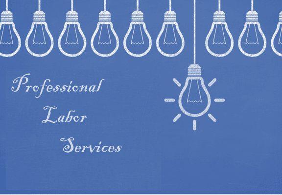 Professional Labor Services