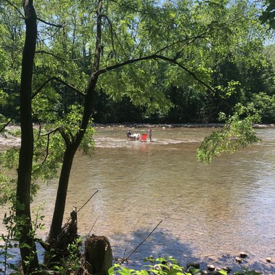 Sitting in the creek