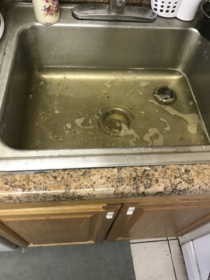 kitchen sink left undrained for 2 day despite calling the maintenance.